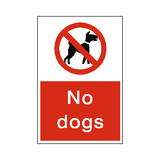 No Dogs Sticker | Safety-Label.co.uk